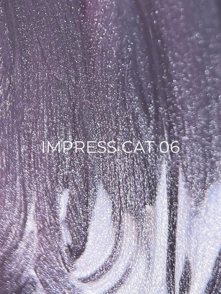 Impress сat Edlen №06 9 ml 4823127208298 фото