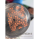 SAGA Professional Neon Stamping №05 Сага Лак для стемпінгу персиковий 8 ml ЦН000131846 фото 3